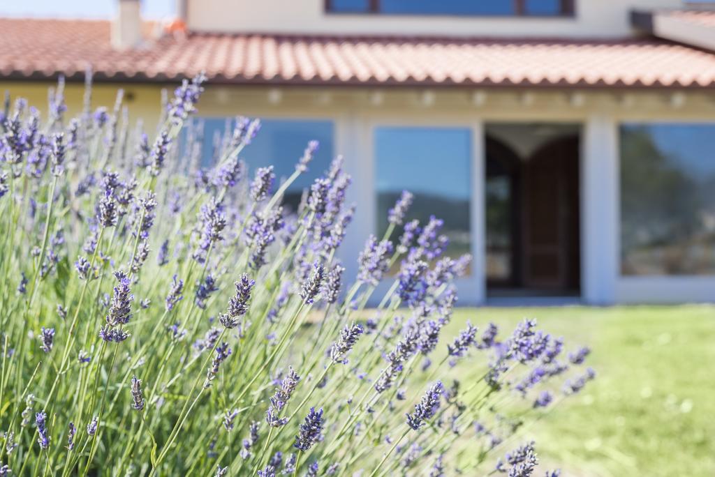 Agriturismo Terre Di Castiglione Castiglione della Pescaia Exterior foto